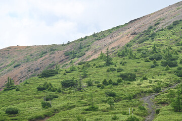志賀草津高原ルートから望む白根山, 群馬県, 日本