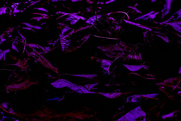 Dark lilac purple shadows leaves background for decoration