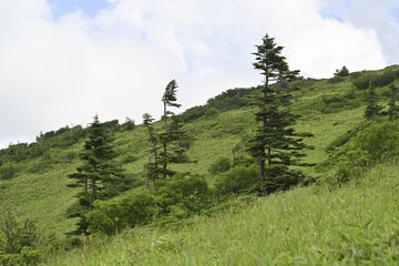 志賀草津高原ルートから望む山並, 群馬県, 日本