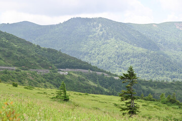 志賀草津高原ルートから望む山並, 群馬県, 日本