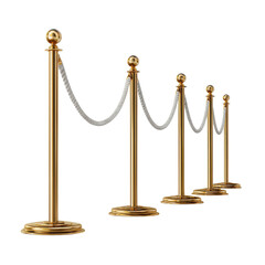 Golden Stanchions with Silver Grey Rope Barriers Setup