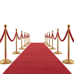 Red Carpet VIP Event with Golden Stanchions Fading Perspective