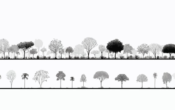 Vecteur de silhouettes d'arbres vari&eacute;s en noir et blanc sur fond blanc, bordure d&eacute;corative.