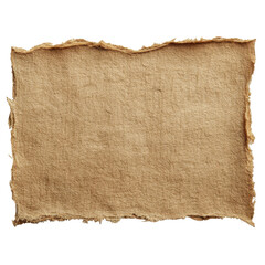 Beige Irregular Torn Paper Shape with Wrinkled Texture