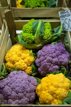 Colorful varieties of cauliflower: yellow, purple and romanesco broccoli green