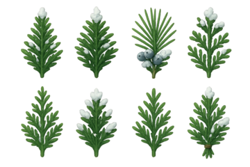 Hand-painted illustrations of winter foliage with snow accents in a simple style suitable for seasonal designs