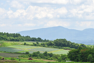 高原に広がるキャベツ畑の風景, 群馬県, 日本