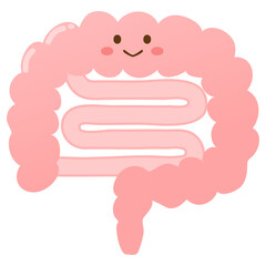 健康な腸のかわいいイラスト