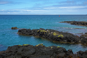Volcanic rocks and turquoise waves along tropical shoreline