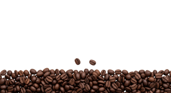 High-quality dark roasted coffee beans, pristine and uniformly sized, arranged in a dense horizontal band on a transparent background with copy space, concept for premium product marketing