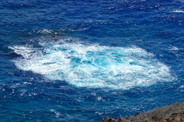 Circular patch of swirling foam floating on deep blue open water