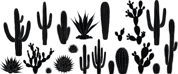 Cactus silhouette, succulent vector, desert plant illustration, botanical art, agave drawing, nature design, cad drawing flat vector illustration