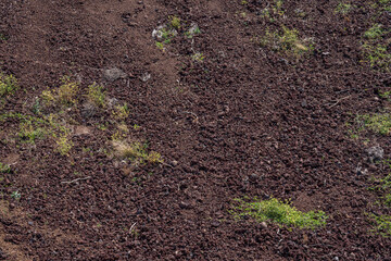 sand, foot, wall, backgrounds, track, coast, summer, textured, abstract, beach, texture, nature, footstep, concrete, stone, footprint, sea, footprints, pattern, bird, print, old