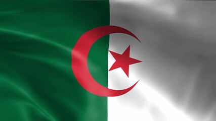 seamless algeria flag animation, national day or politics or sport event - 3D rendering - slow motion