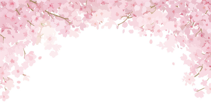 Illustrazione vettoriale di fiori di ciliegio rosa in piena fioritura che creano una cornice floreale ideale per la primavera.