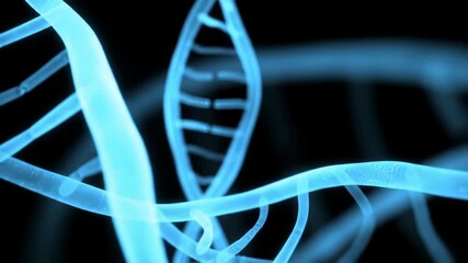 Glowing blue DNA structure on black background, representing genetics for scientific use - Powered by Adobe