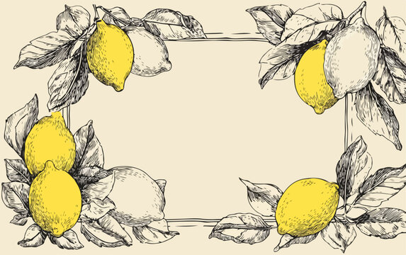 Elegante cornice vettoriale con limoni e foglie in stile vintage, perfetta per inviti, annunci o decorazioni dal sapore mediterraneo.