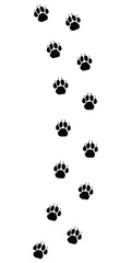 Lion footprint paw icon. A path lion paw print icon. Animal paw print vector illustration. 