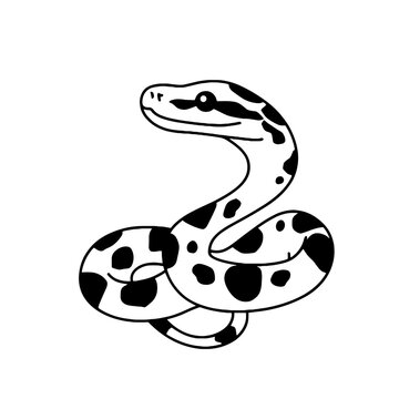 Python. Python simple black and white line art vector logo