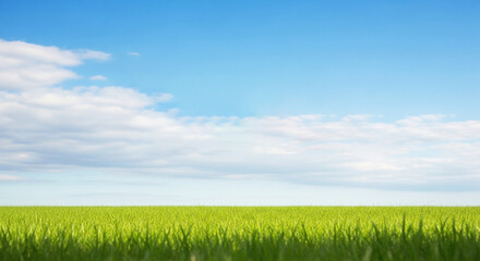 A vast, green field stretching towards a clear blue sky with fluffy white clouds.
