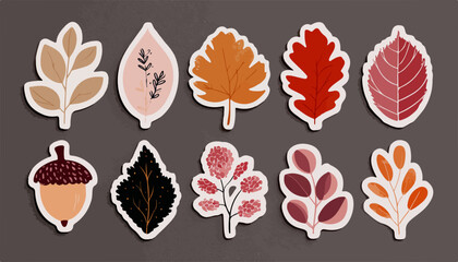秋の自然をテーマにした、手描きの様々な落ち葉のベクターイラストセットで、温かみのある季節感を表現しています。