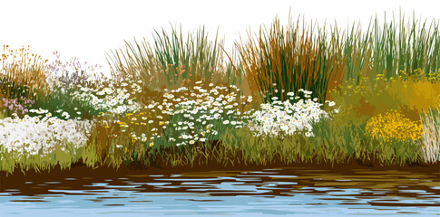 水辺に咲く可憐な野花と草むらが、穏やかな水面に映る自然の風景を描いたベクターイラスト。