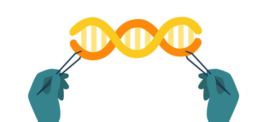 two hands in medical gloves picking up DNA strand
