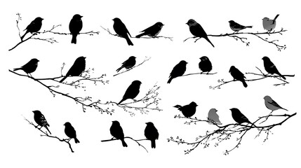 Obraz premium Collection of Bird Silhouettes Perched on Branches tree nature Photo
