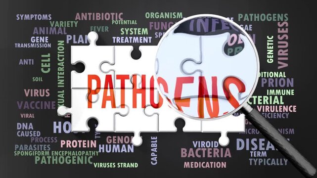 Pathogens under magnifying glass, being researched, studied and examined. Most important subjects and ideas closely related to pathogens written around a puzzle.Can be looped.