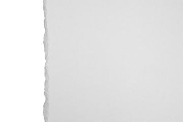 White ripped paper