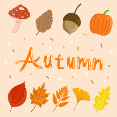 Autumn forest elements with colorful leaves