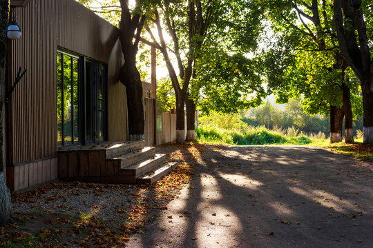 Rustic modern entrance bathed in warm autumn sunlight. Golden leaves adorn wooden steps, flanked by trees casting long serene shadows on the path. A tranquil fall scene