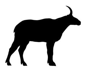Black mountain goat silhouette stands upright with curved horns and realistic fur shading. Its focused gaze looks into the distance against a stark white background. Side view