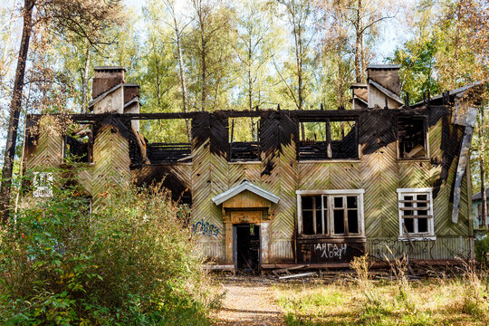 Desolate burned-out wooden house, its roof gone and windows shattered, stands as a haunting ruin amidst late autumn foliage