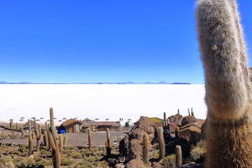 view from the Isla Incahuasi (cactus island) at Uyuni salt flat in Bolivia