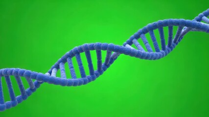 Genetic Blueprint: Rotating 3D DNA Double Helix Structure Against a Solid Green Screen Background. - Powered by Adobe