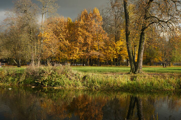 Autumn landscape with a pond and bright yellow trees on the river bank.