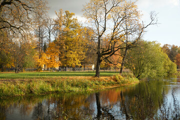 Autumn landscape with a pond and bright yellow trees on the river bank.