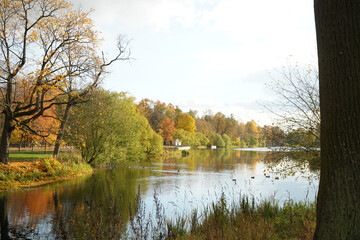 Autumn landscape with a pond and bright yellow trees on the river bank.