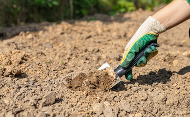 Close-up of hands digging soil with garden shovel. Springtime, working on a plot of land, landscaping, gardening, growing flowers, fruit crops. Copy space.