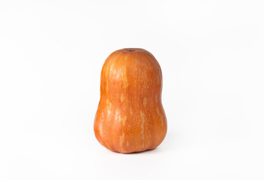 Ripe butternut squash on a white background. Isolated