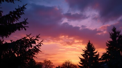 Fototapeta premium A vibrant sunset paints the sky with orange pink and purple hues silhouetted by evergreen trees