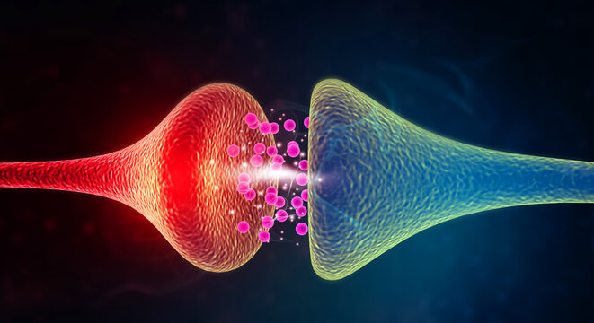 Transmitting neural signals in the brain. 3d illustration