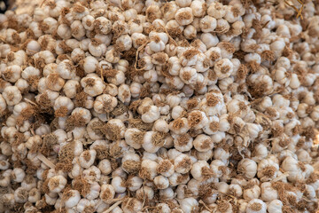 garlic on the stall in the market