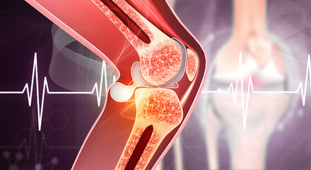 Human knee anatomy on medical background. 3d illustration