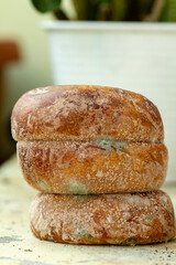 A vertical close-up photograph of stacked, round pia pastries. Patches of blue-green Penicillium mold are visible, indicating advanced food spoilage.