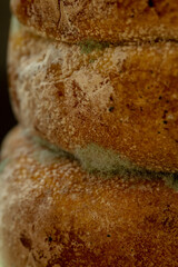 A vertical macro shot captures the detailed, porous texture of a stale bread crust, showing significant blue-green Penicillium mold growth in its crevices.