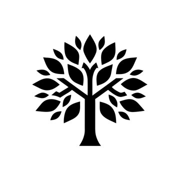 Illustration of a symmetrical tree with many leaves on transparent background