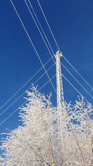 Communication mast among birch branches on a winter day