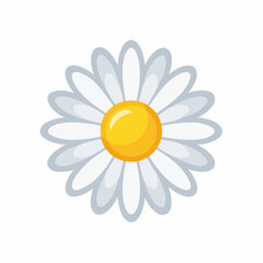 Vector illustration of a daisy flower on a white background
